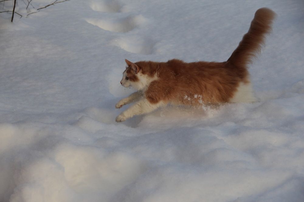 Photograph by Валентина