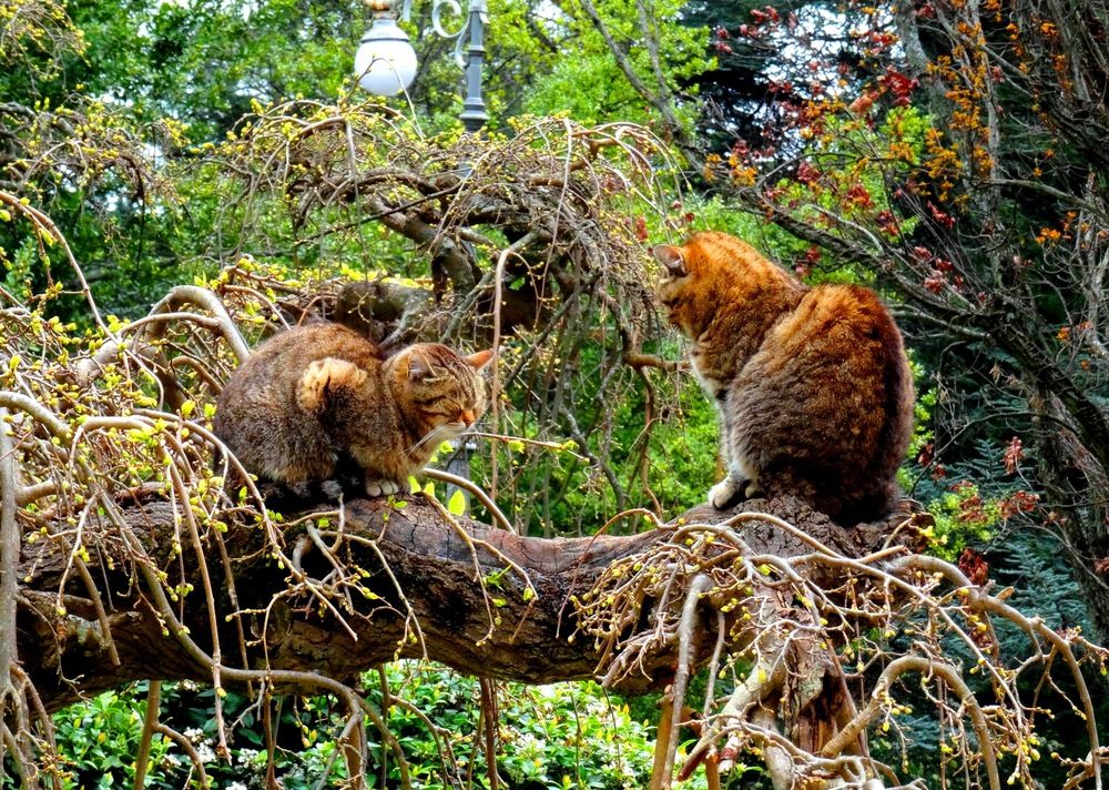 Photograph by Марина Раткун