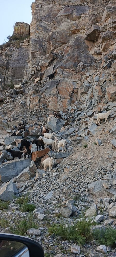 Photograph by Ирина Барышева