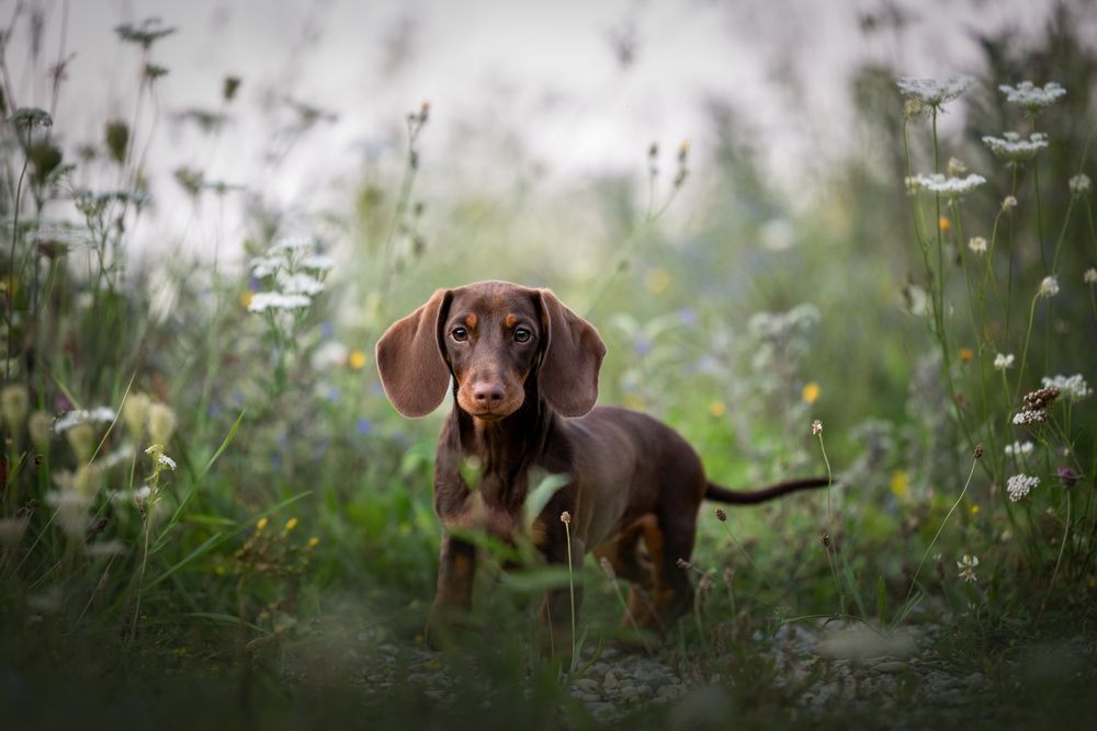 Photograph by Karoline Palme