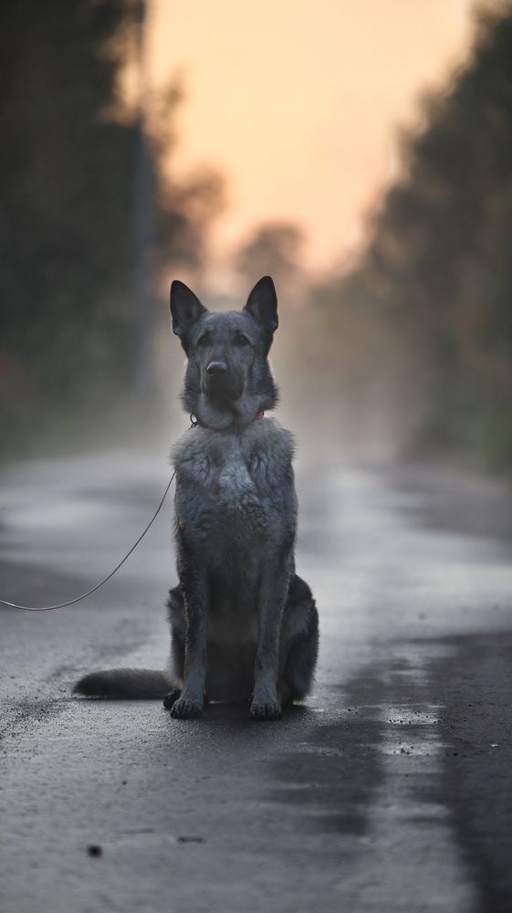 Фотография автора Татьяна Федченко