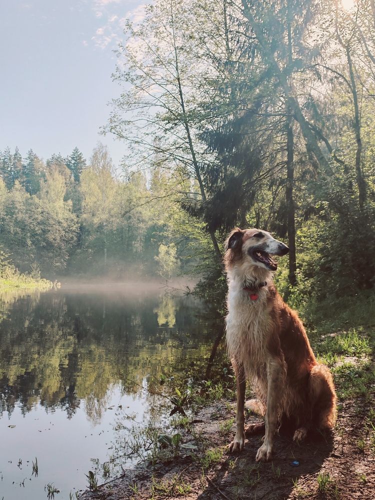 Photograph by Инна Мухина