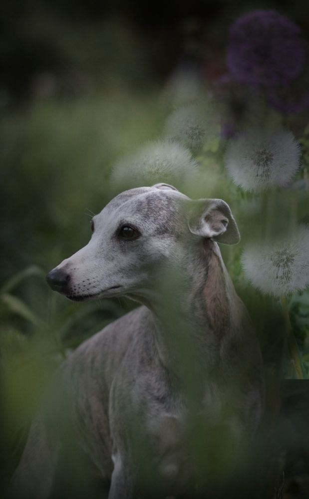 Фотография автора Татьяна Федченко