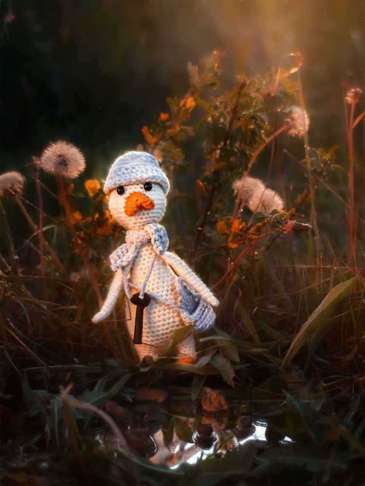 Photograph by Nephotograph