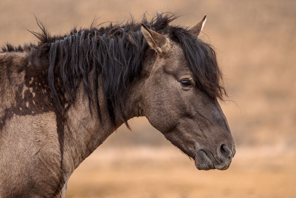 Photograph by Ильдар Валитов
