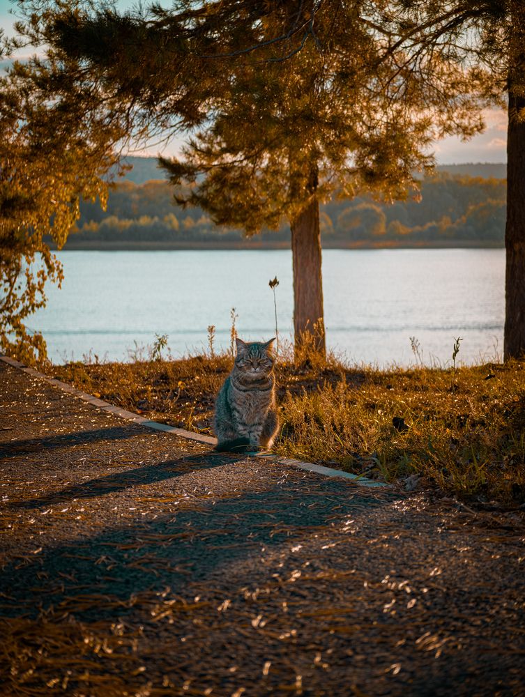 Photograph by Konstantin Martynov