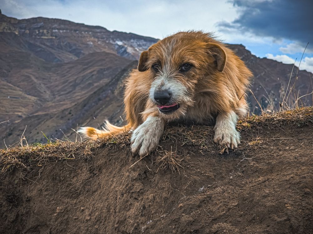 Photograph by Konstantin Martynov