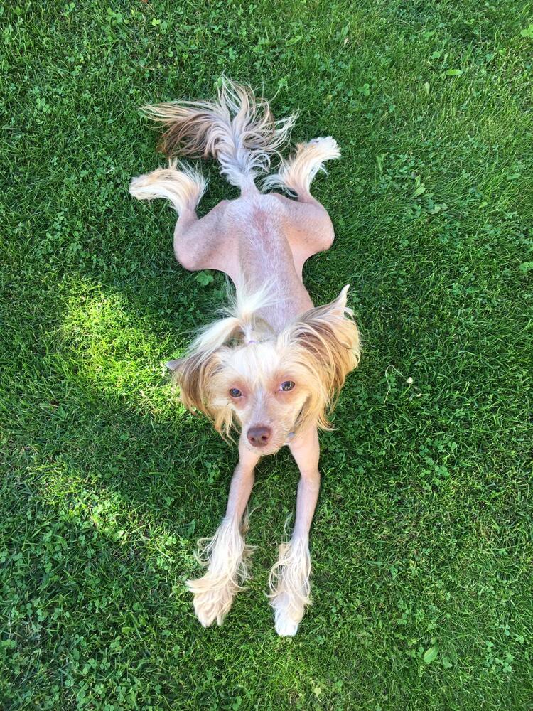 Фотография автора Vadim