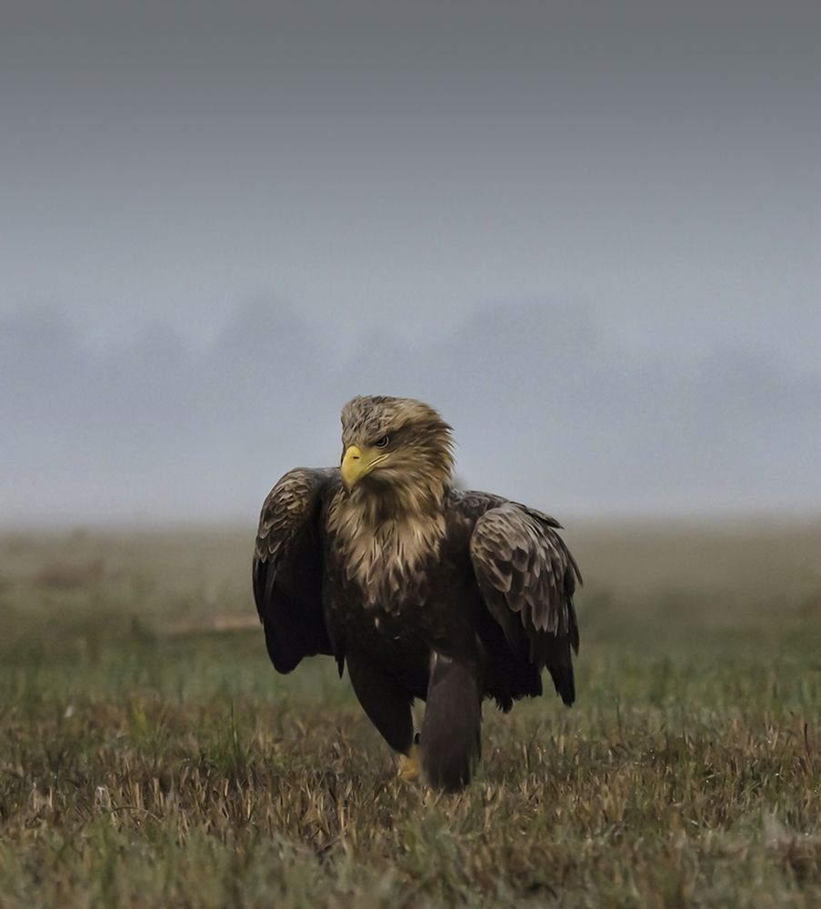 Фотография автора Mariusz Zarzycki