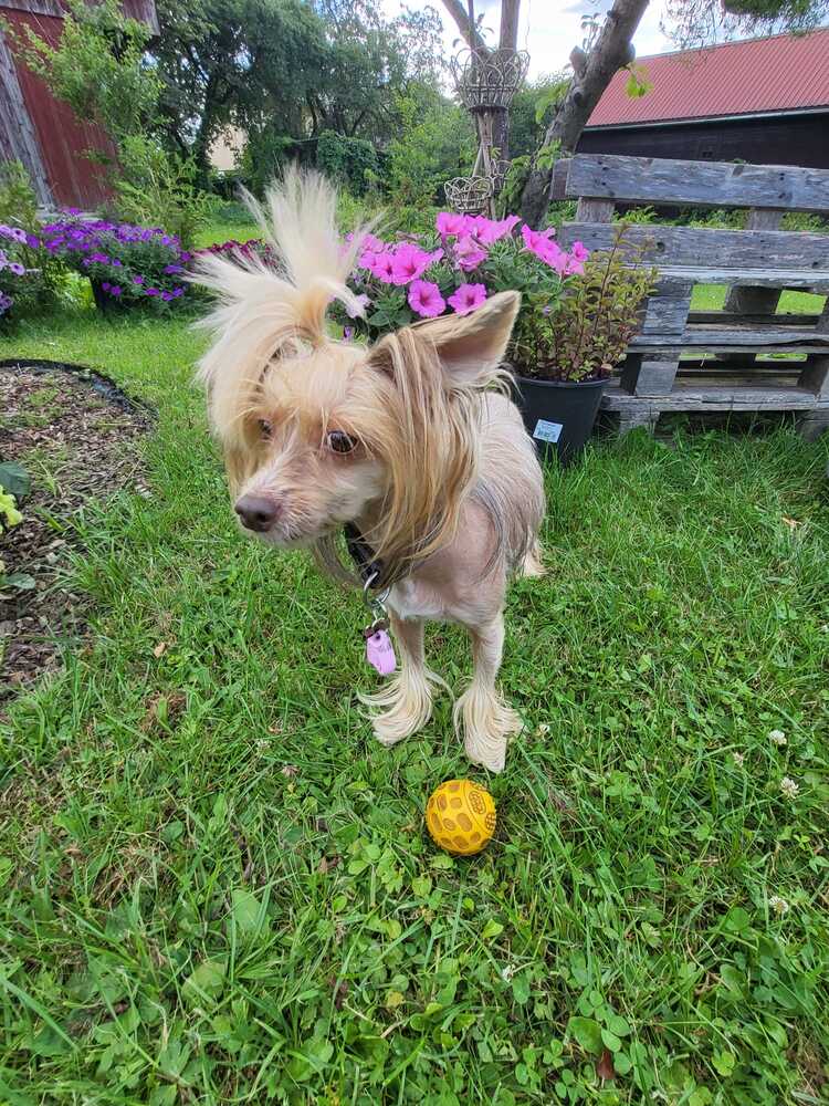 Фотография автора Vadim