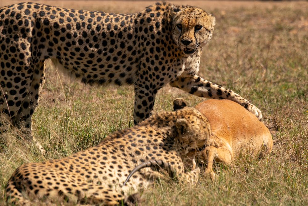 Photograph by IGOR CHEBUNIN