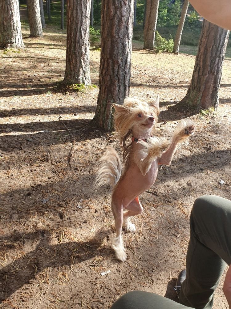 Фотография автора Vadim