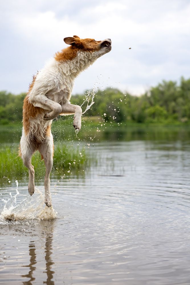 Photograph by Светлана Шибаршина