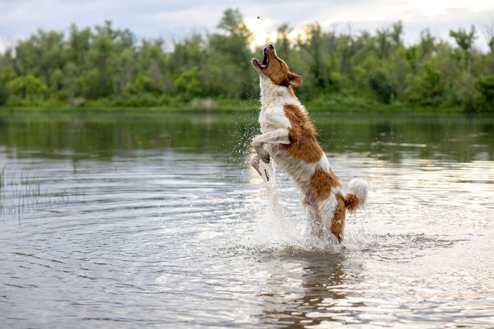 Photograph by Светлана Шибаршина