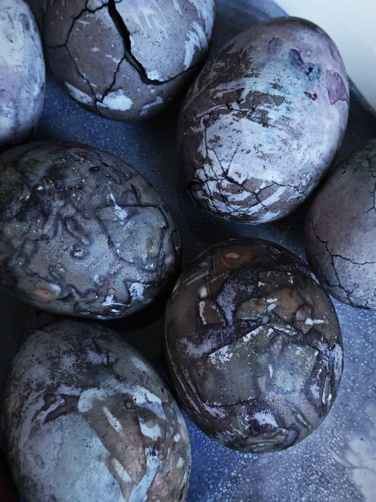 Photograph by Tatiana Potapenko