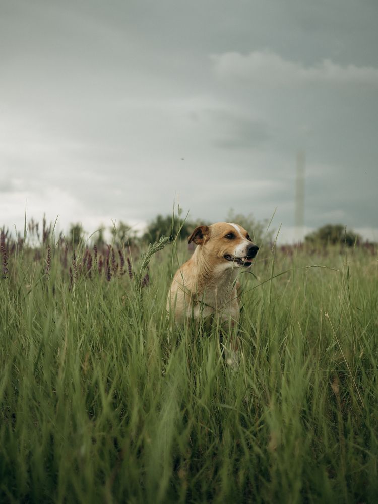 Photograph by Светлана Шибаршина