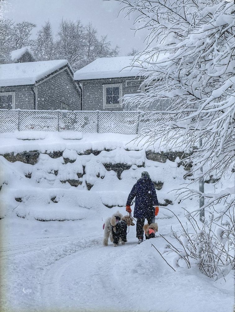 Photograph by Ольга Кудіна