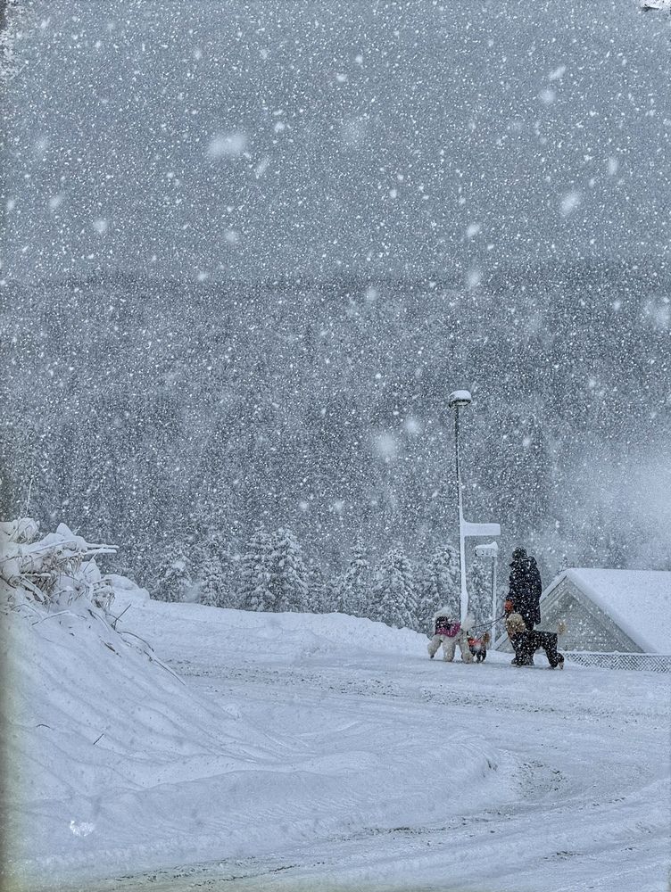 Photograph by Ольга Кудіна