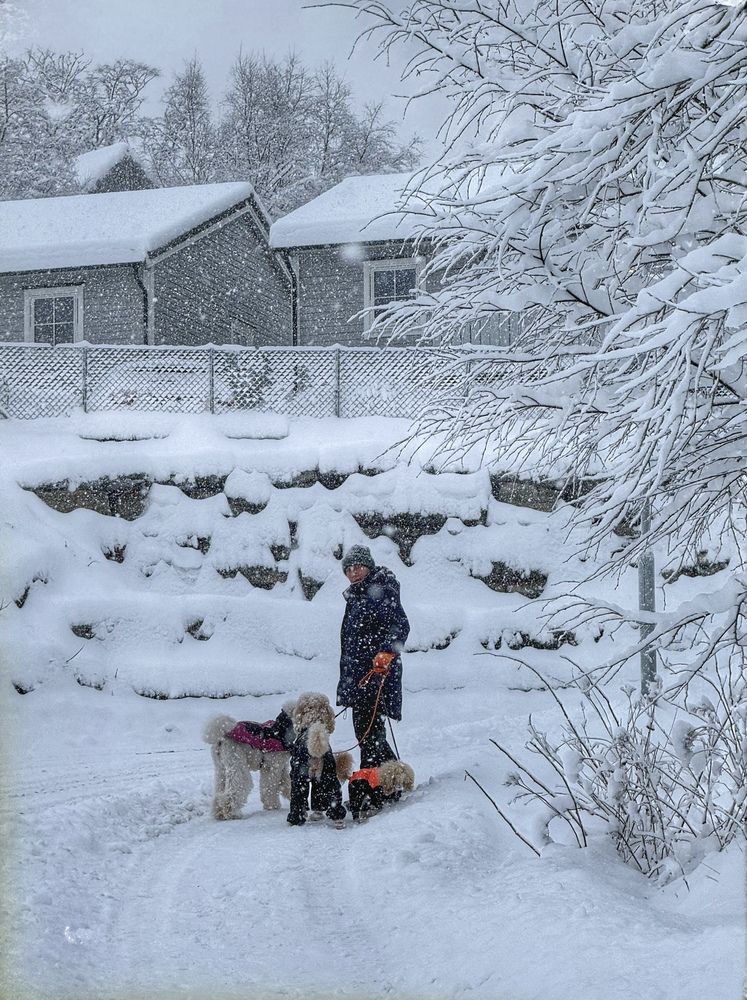 Photograph by Ольга Кудіна