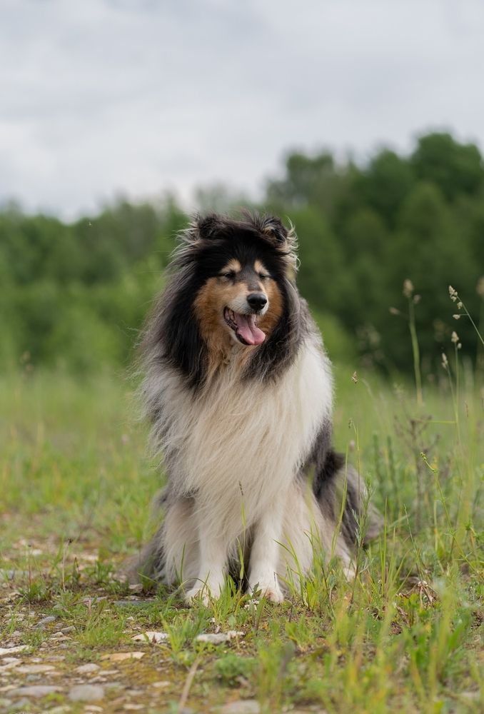 Photograph by Екатерина Одинцова