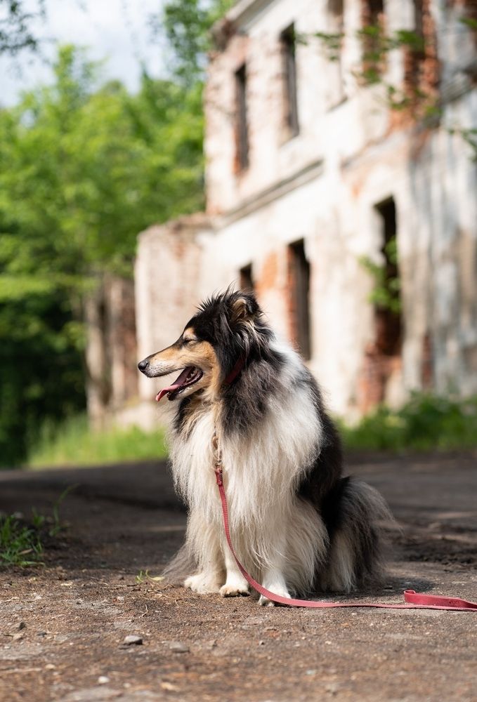 Photograph by Екатерина Одинцова