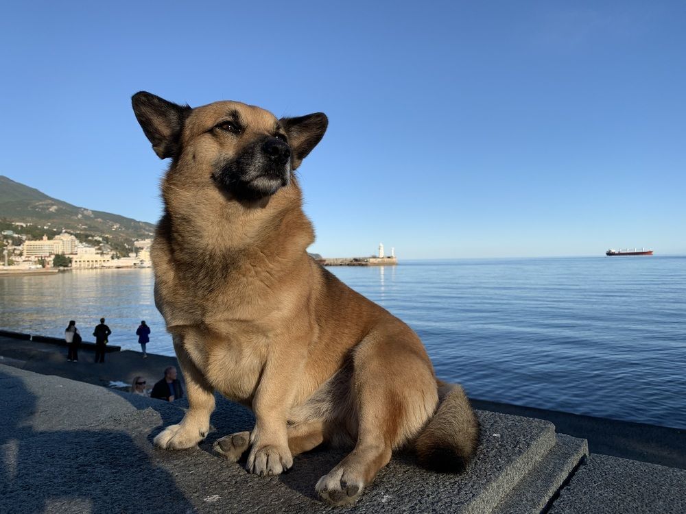 Photograph by Игорь Ребров