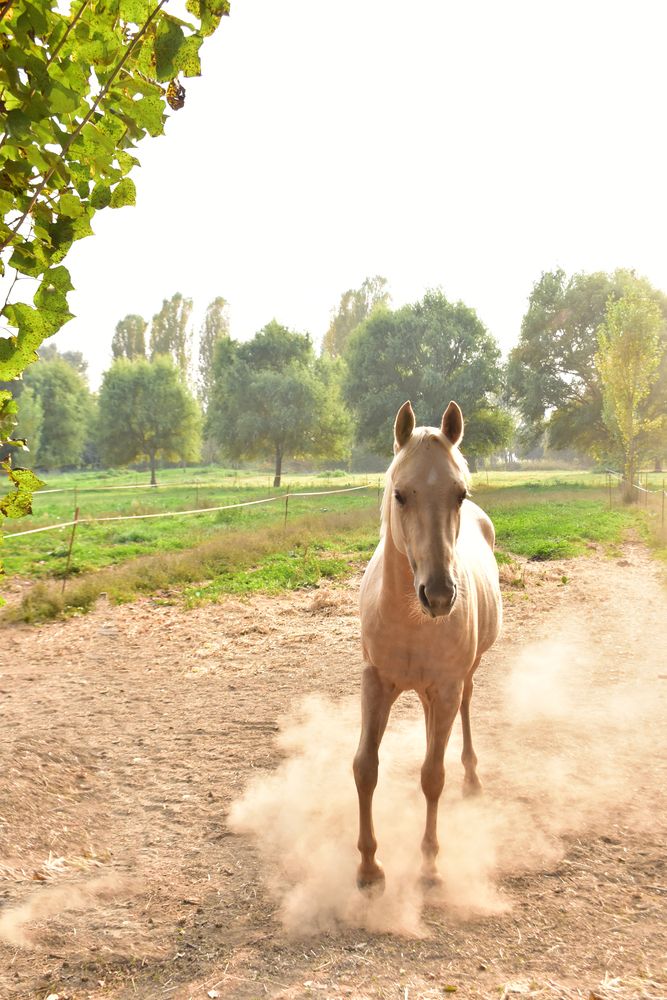 Photograph by Никуличева Екатерина