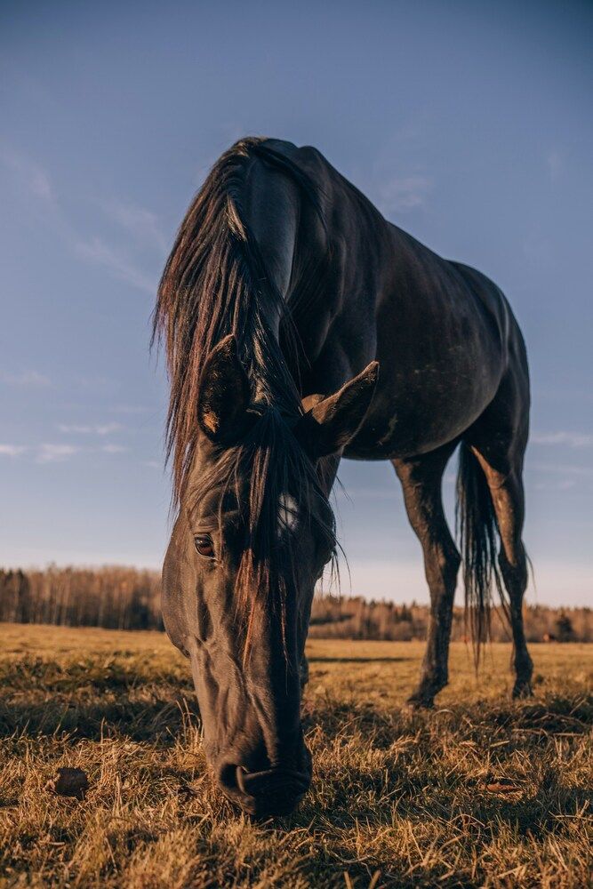 Photograph by Александра Кузуб
