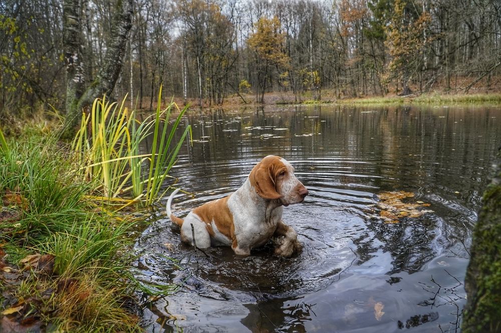 Photograph by Марина Безенкина