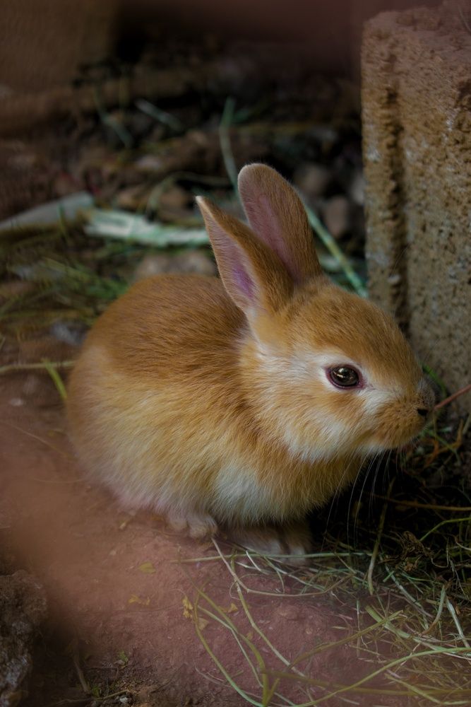 Photograph by zahra salardini