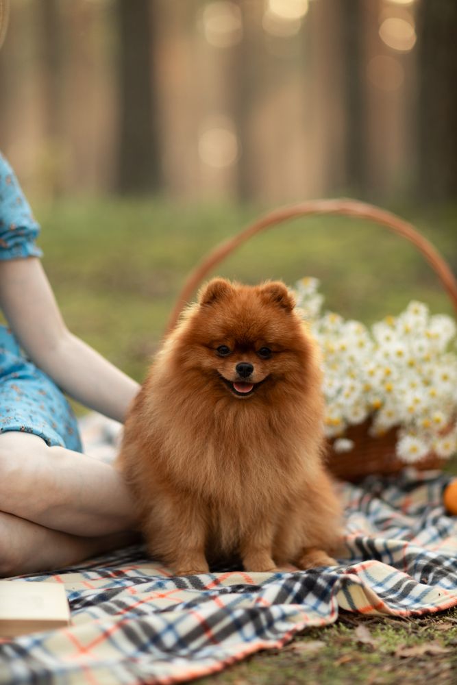 Photograph by Арина Лисицина