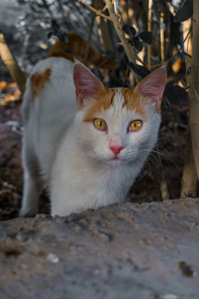 Photograph by zahra salardini