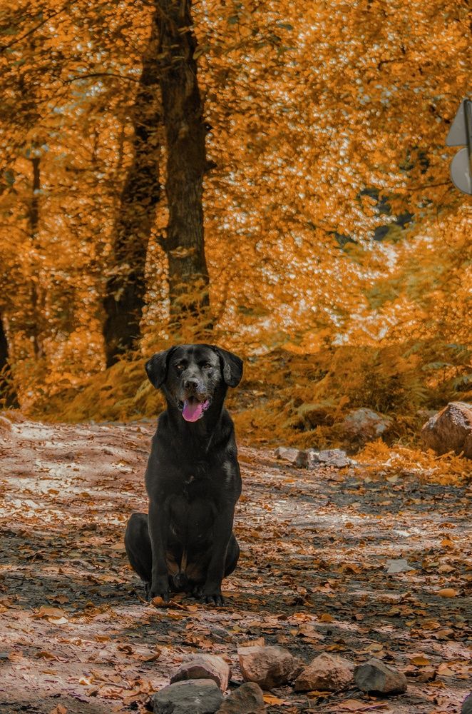 Photograph by zahra salardini