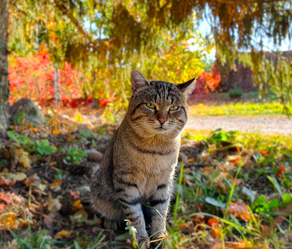 Photograph by Яна Галимуллина