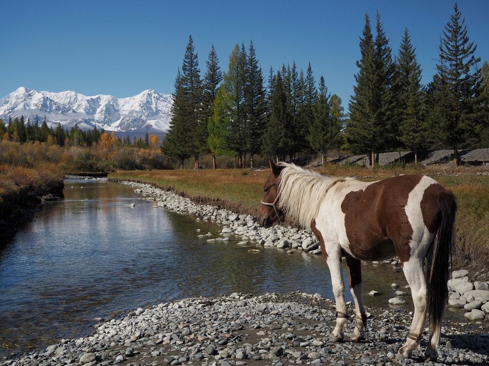 Photograph by Евгений Яковлев