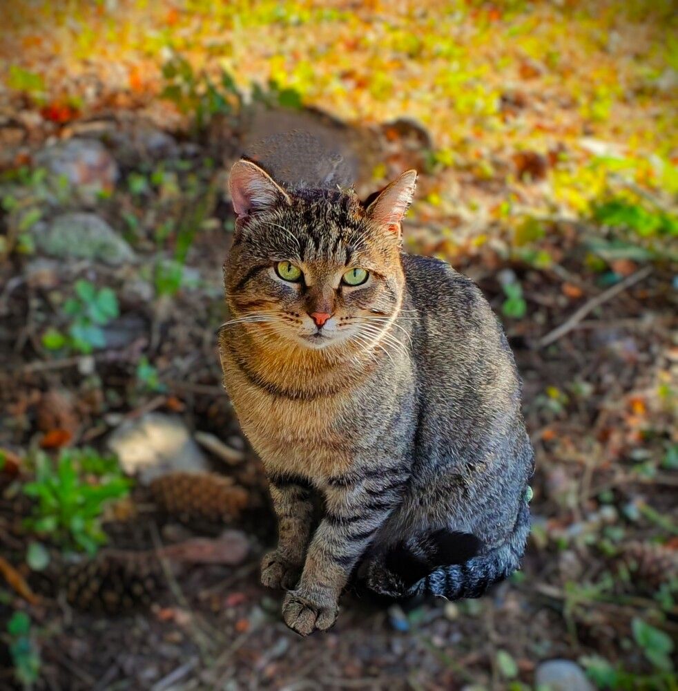 Photograph by Яна Галимуллина