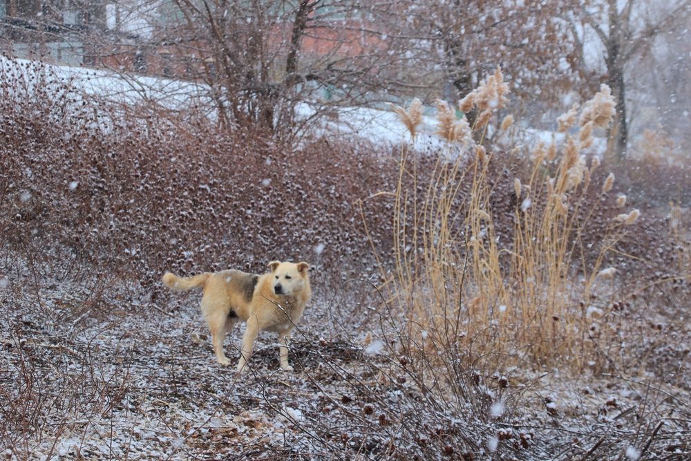 Photograph by Вакулина Марина