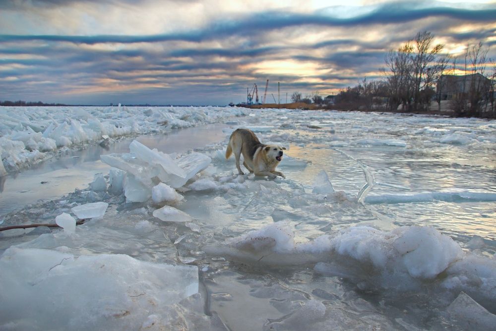 Photograph by Вакулина Марина