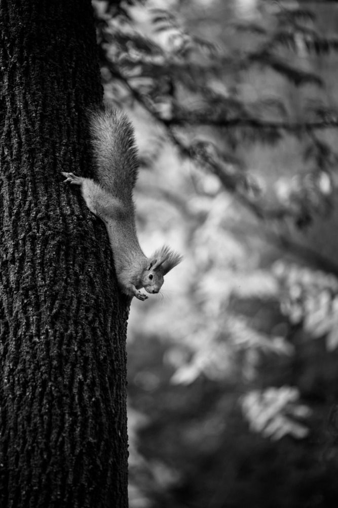 Photograph by Артем Поминчук