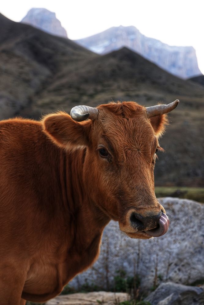 Photograph by Евгения Казакова