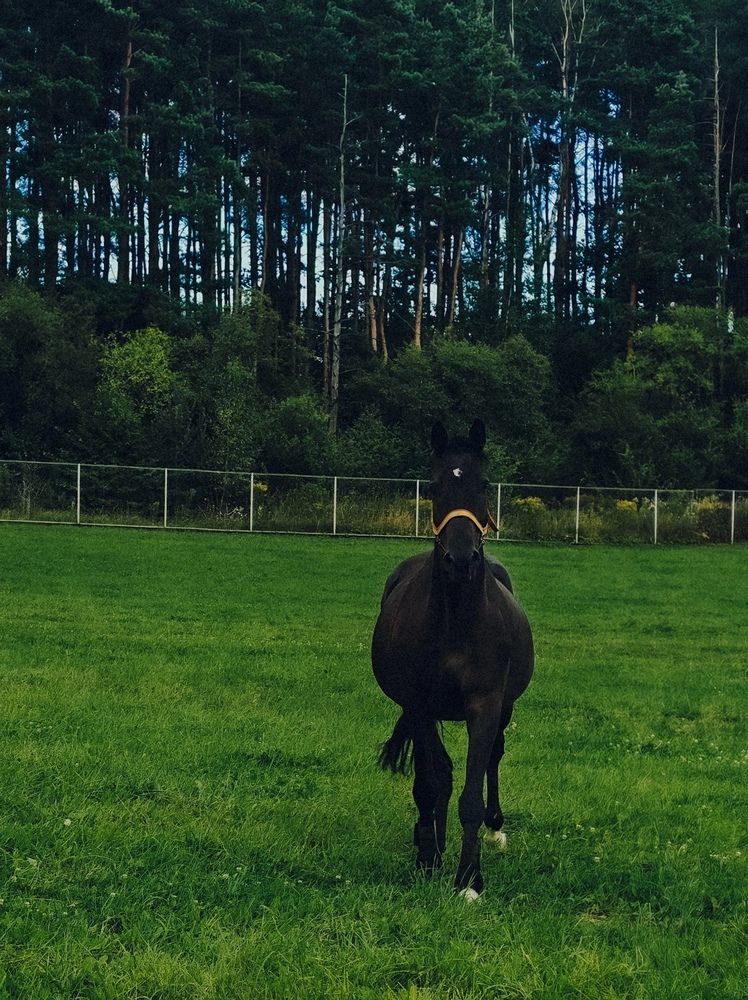 Photograph by Maria Stankevich