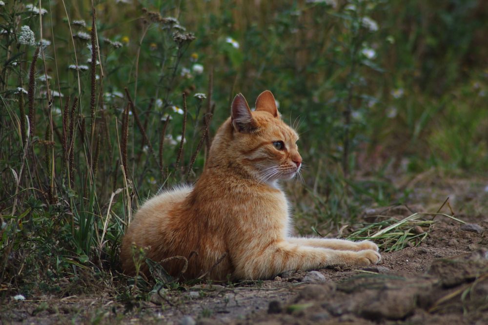 Photograph by Елена Наленч