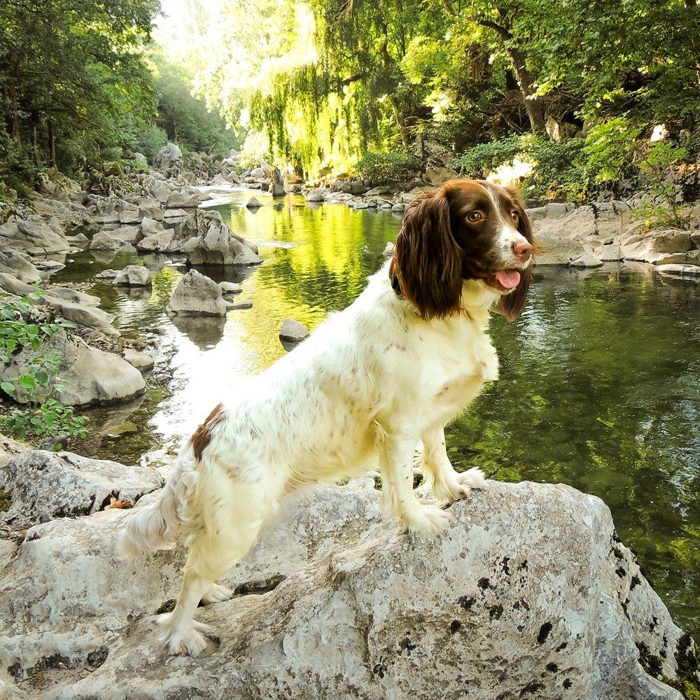 Photograph by Juan Hidalgo Martínez