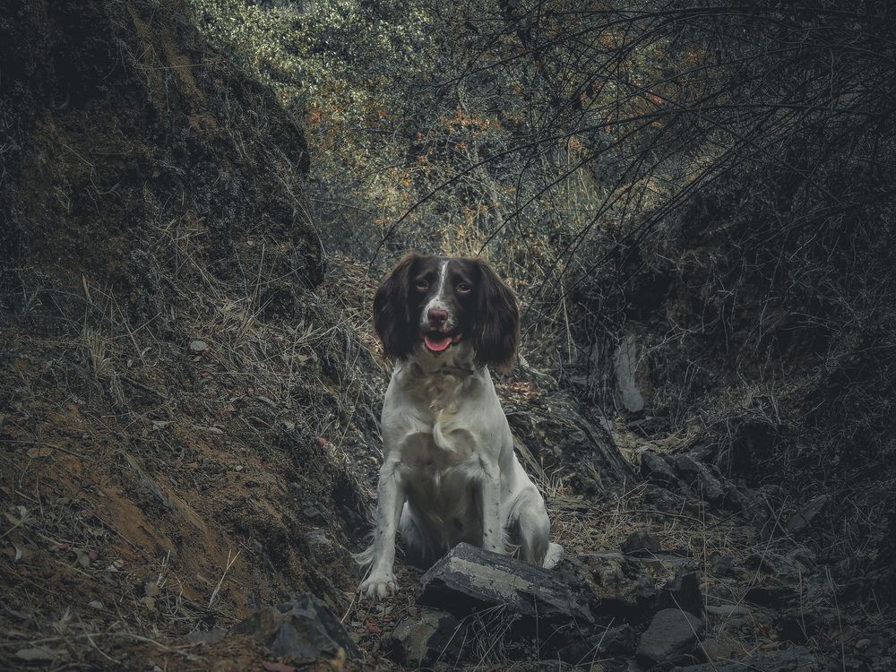 Photograph by Juan Hidalgo Martínez