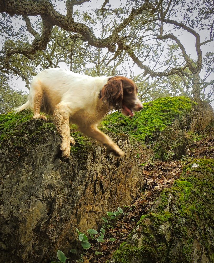 Photograph by Juan Hidalgo Martínez