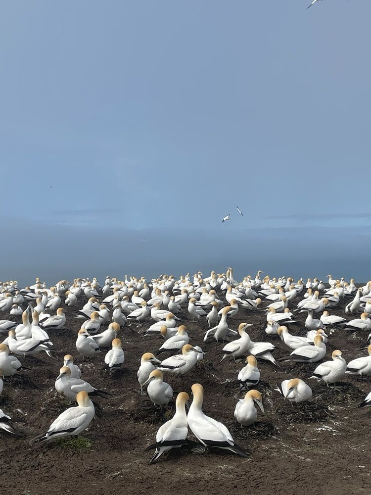 Photograph by Елена