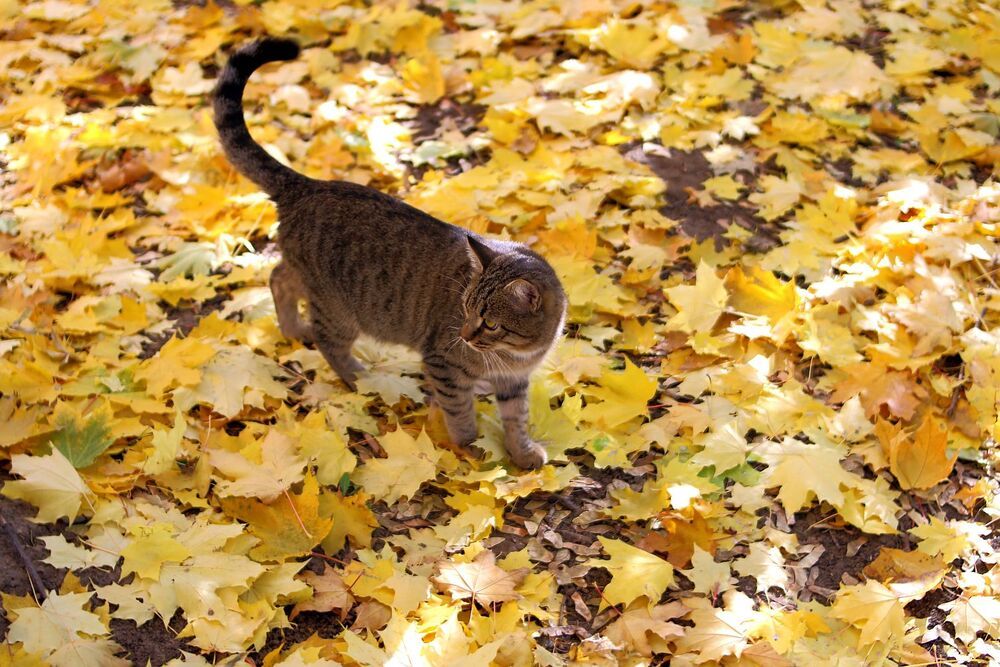 Photograph by Юрий Варюхин