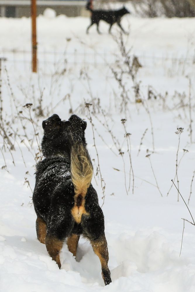 Фотография автора Елена Чурилова