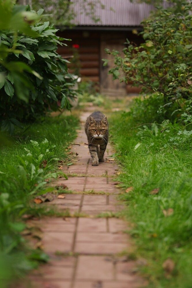 Photograph by Екатерина