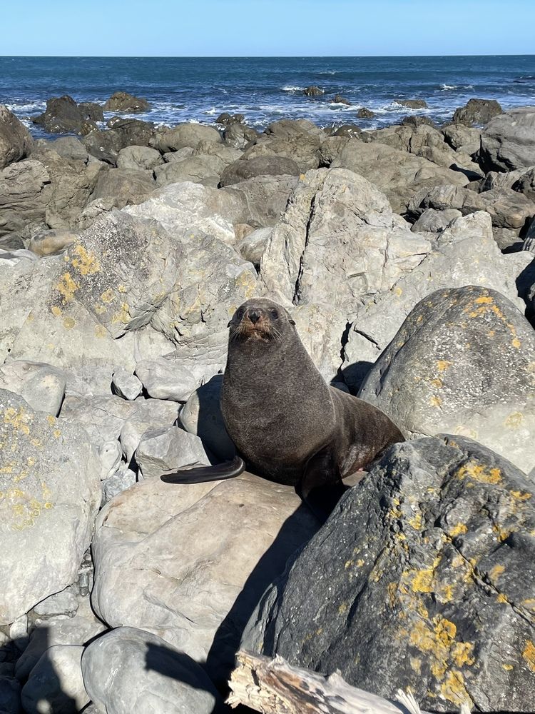 На берегу океана